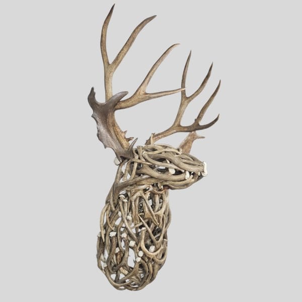 life Sized mule deer bust wall mount made out of mule deer antlers