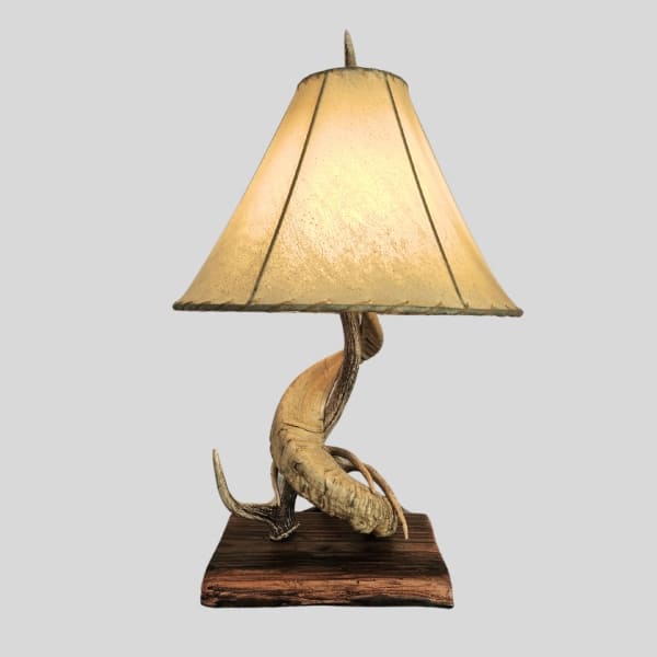 Ram Horn Table Lamp