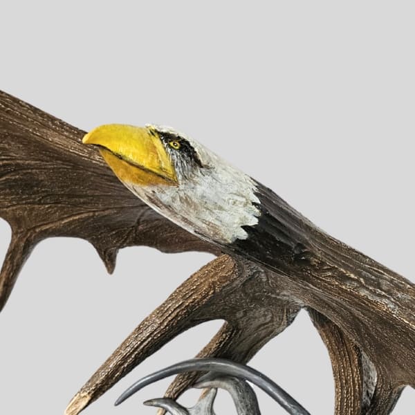 close up of eagle;e face carved into moose antlers