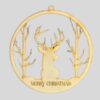 The Winter Buck