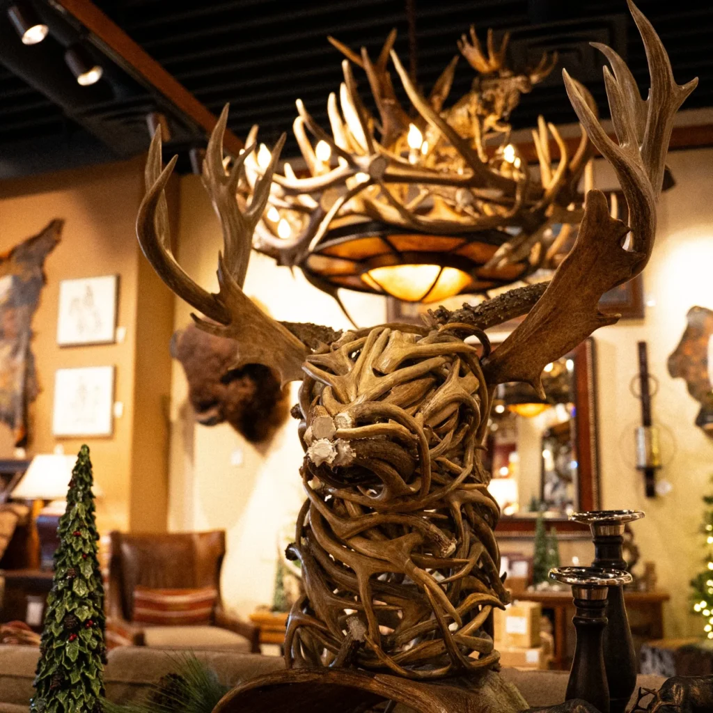 A deer head bust made from mule deer antlers, a large antler chandelier hanging in background